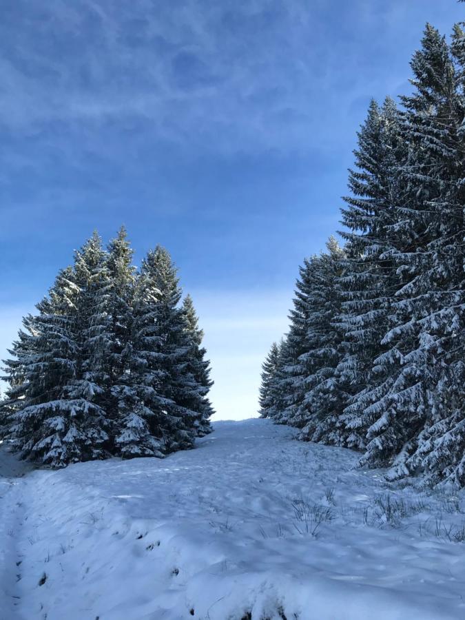 Kleine Ferienwohnung Am Rande Der Wildnis Sibratsgfall Exterior photo